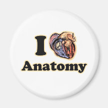 I heart Anatomy Science Super Geek Teacher Fridge Magnets
