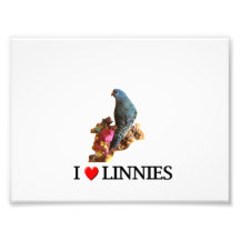I "Heart" Linnies Photograph