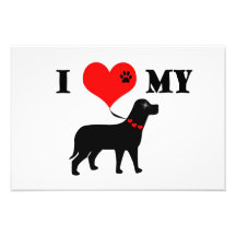 I Heart My Dog Photograph