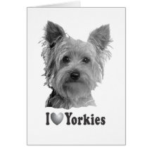 I Heart Yorkies With Image Cards