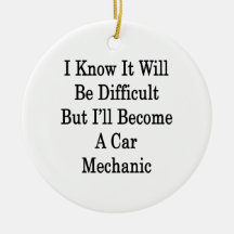 I Know It Will Be Difficult But I'll Become A Car Ornament
