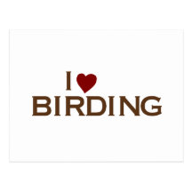 I Love Birding Post Card