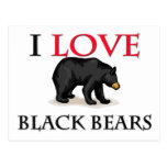 I Love Black Bears Postcard