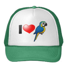I Love Blue-and-yellow Macaws Hat