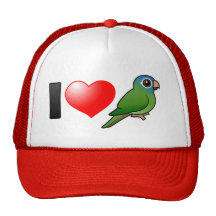 I Love Blue-crowned Conures Hat