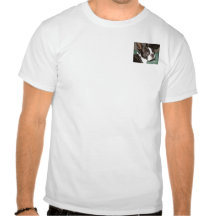 I love boston terrier! t-shirt