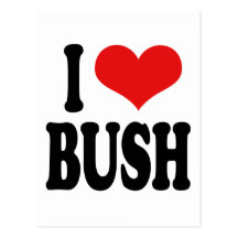 I Love Bush Postcard