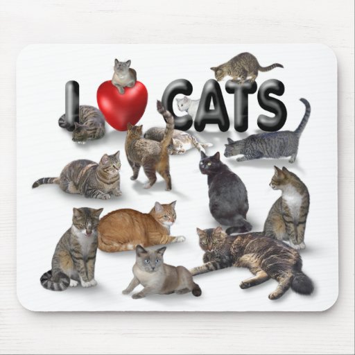 I love Cats Mouse Mats