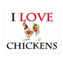 I Love Chickens Post Card