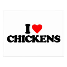 I LOVE CHICKENS POSTCARDS