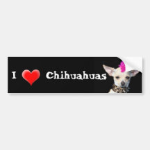 I Love Chihuahuas bumper sticker