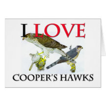 I Love Cooper's Hawks Card