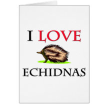 I Love Echidnas Greeting Card