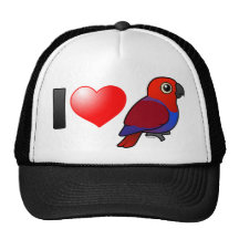 I Love Eclectus Parrots (female) Hats