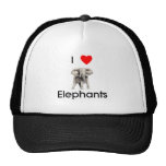 I love elephants Hat