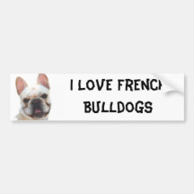 I Love French Bulldogs bumper sticker