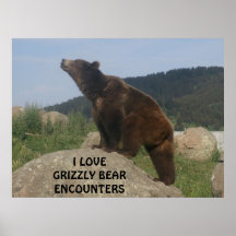 I LOVE GRIZZLY BEAR ENCOUNTERS POSTERS
