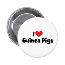 I Love Guinea Pigs Button