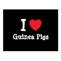 I love Guinea Pigs heart custom personalised Post Card