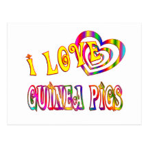 I LOVE GUINEA PIGS POSTCARD