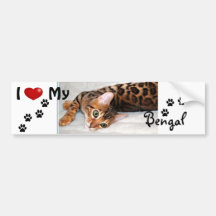 I love (heart) my Bengal Bumper Sticker