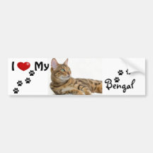 I love (heart) my Bengal Bumper Stickers