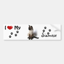 I love (heart) my Siamese adult Bumper Sticker
