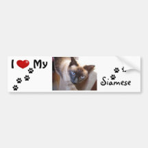 I love (heart) my Siamese Bumper Stickers