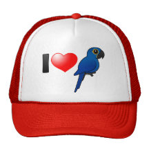 I Love Hyacinth Macaws Hat