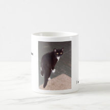 I love kitties coffee mug