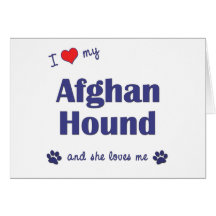 I Love My Afghan Hound (Female Dog) Greeting Card