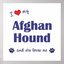 I Love My Afghan Hound (Female Dog) Print
