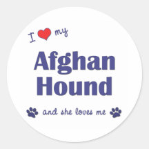 I Love My Afghan Hound (Female Dog) Sticker