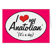 I Love My Anatolian (It's a Dog) Card