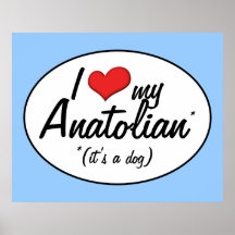 I Love My Anatolian (It's a Dog) Poster