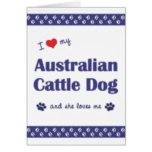 I Love My Australian Cattle Dog (Female Dog) Greeting Card