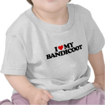 I LOVE MY BANDICOOT SHIRTS