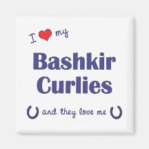 I Love My Bashkir Curlies (Multiple Horses) Magnet