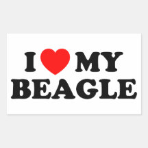 I Love my Beagle Sticker