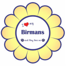 I Love My Birmans (Multiple Cats) Photo Sculptures