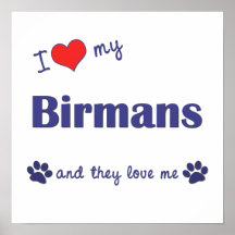 I Love My Birmans (Multiple Cats) Posters