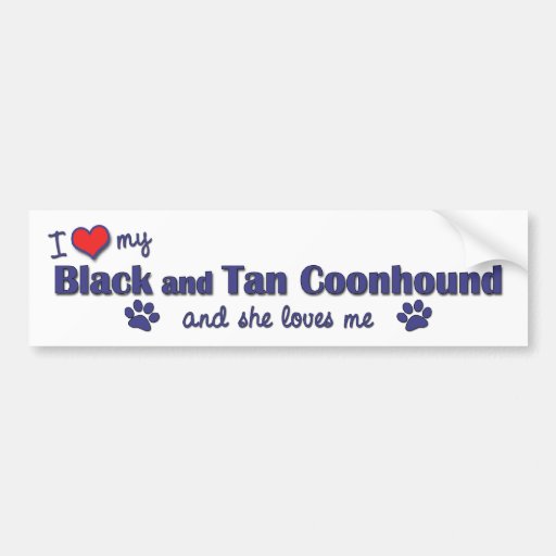 I Love My Black and Tan Coonhound (Female Dog) Bumper Sticker