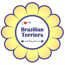 I Love My Brazilian Terriers (Multiple Dogs) Acrylic Cut Out