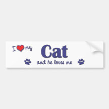 I Love My Cat (Male Cat) Bumper Sticker