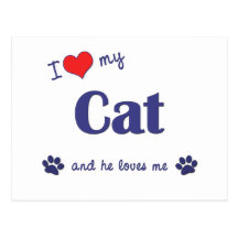 I Love My Cat (Male Cat) Postcard
