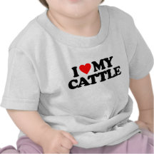 I LOVE MY CATTLE TSHIRTS