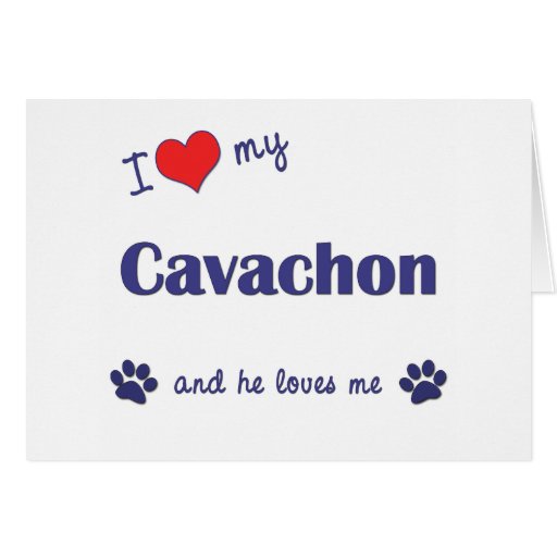 I Love My Cavachon (Male Dog) Greeting Cards