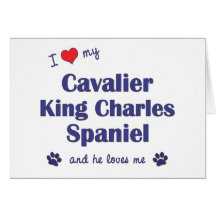 I Love My Cavalier King Charles Spaniel (Male Dog) Card