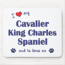 I Love My Cavalier King Charles Spaniel (Male Dog) Mouse Pads