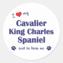 I Love My Cavalier King Charles Spaniel (Male Dog) Round Sticker